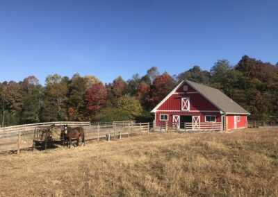 Horse boarding in and near LaFayette, Georgia