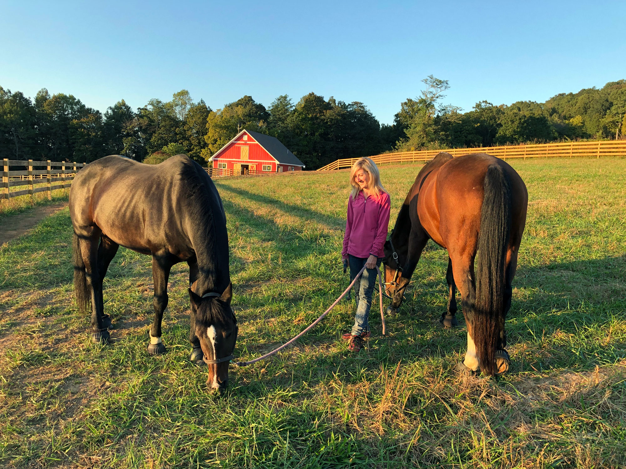 Luxury Horse boarding in LaFayette