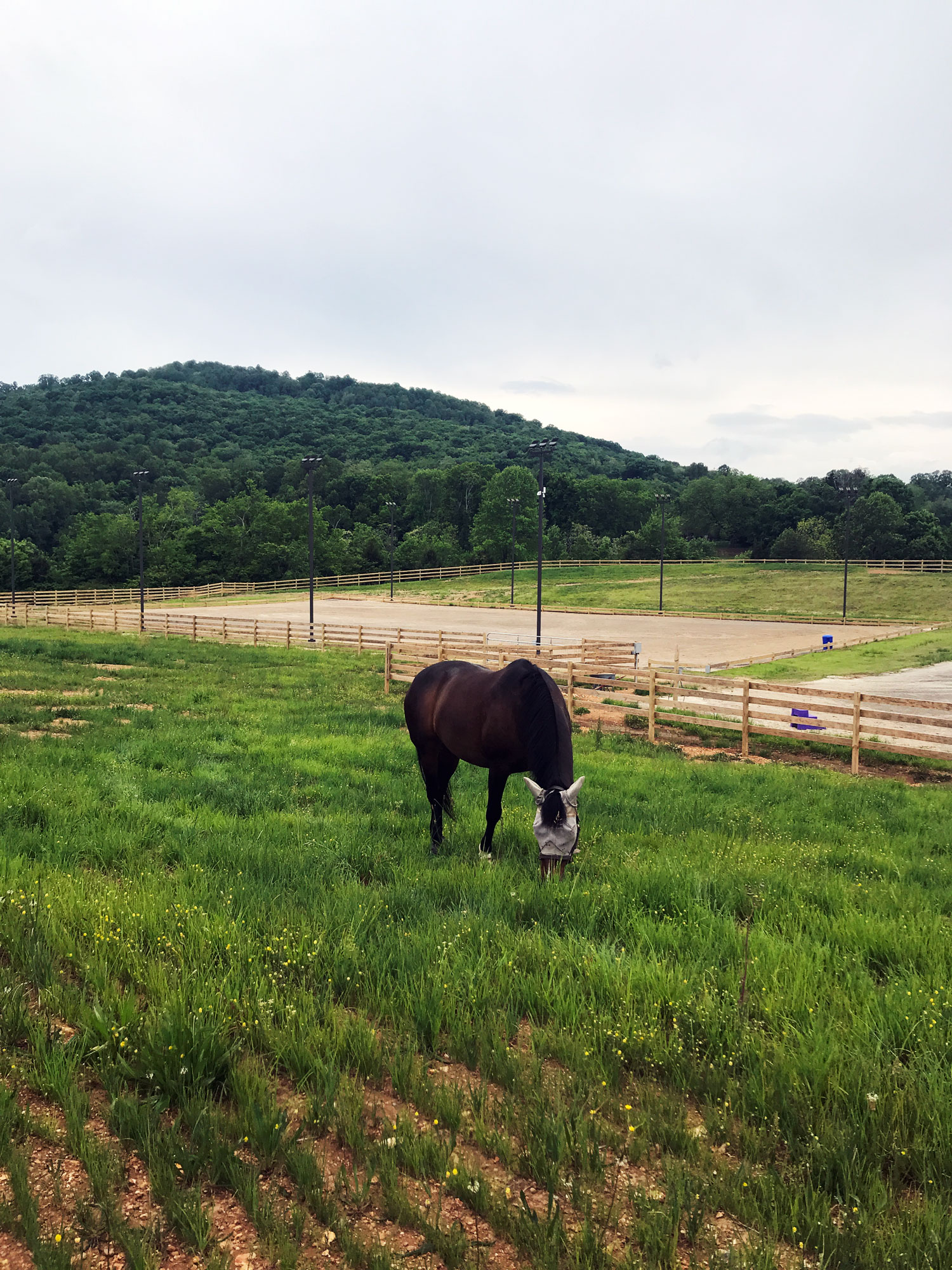 Riding pens in LaFayette, GA