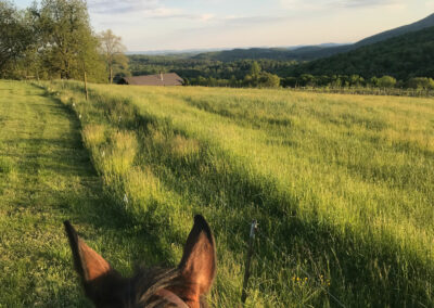 The view at Estelle Horse boarding in Lafayette, GA