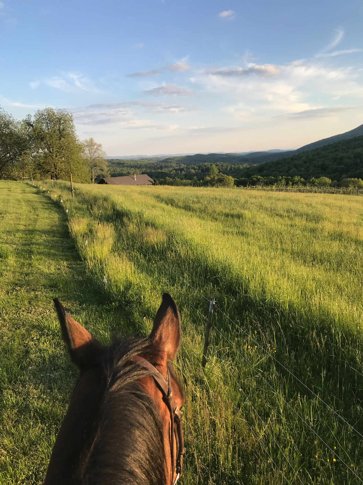 The view at Estelle Horse boarding in Lafayette, GA